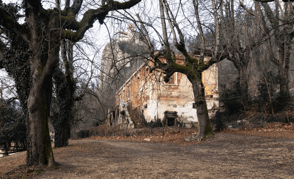 Vila Rikli, okolica na Bledu